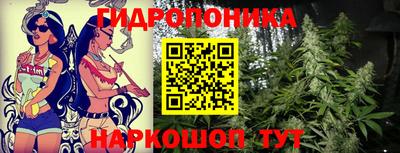 СК Новозыбков