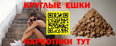 СК Новозыбков
