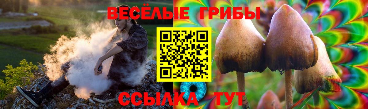 Сосновый Бор  Галлюциногенные грибы Psilocybe  Вход с VPN 